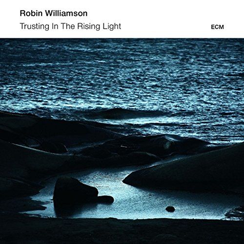 robin williamson trusting