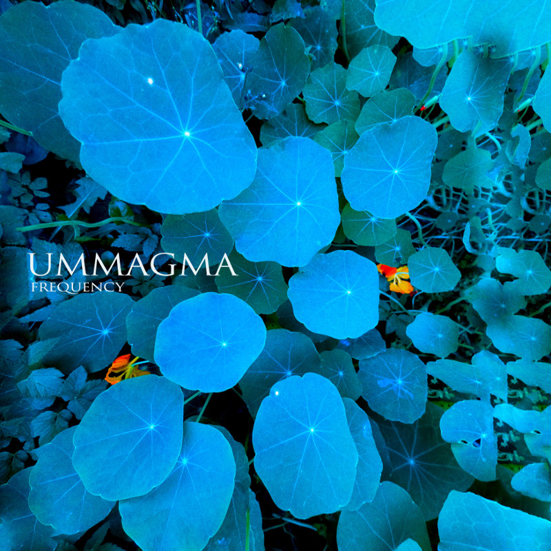 Ummagma Frequency cover