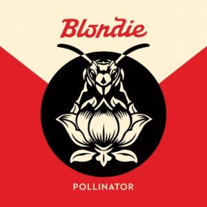 Blondie pollinator recensione
