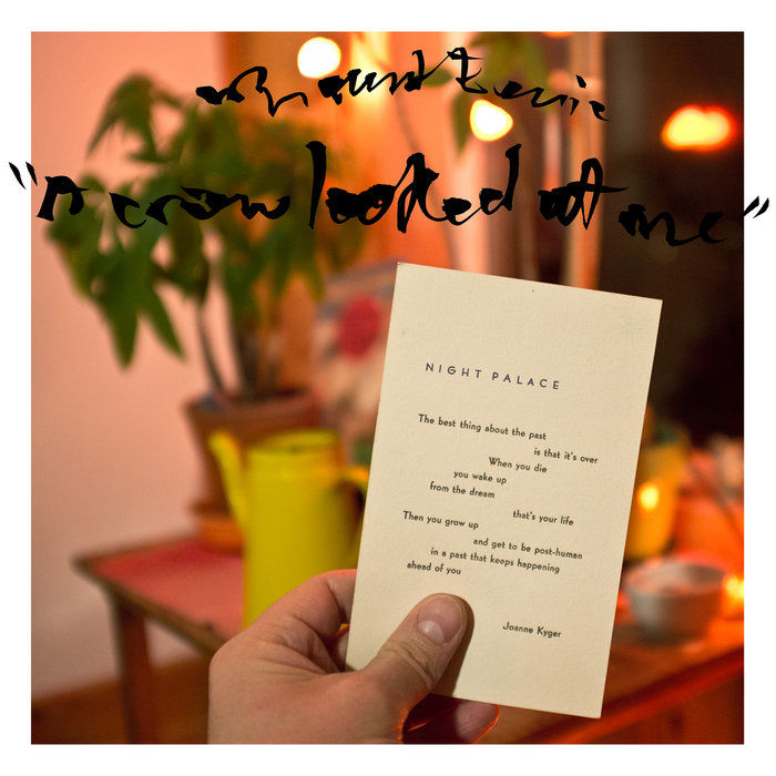 Mount Eerie - A Crow Looked At Me | recensione