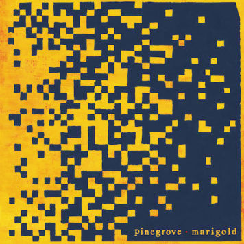 Pinegrove - Marigold | Tomtomrock