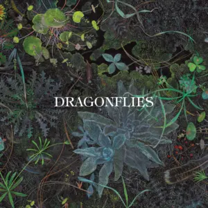 Dragonflies, un progetto ambizioso fra luci e ombre. La recensione